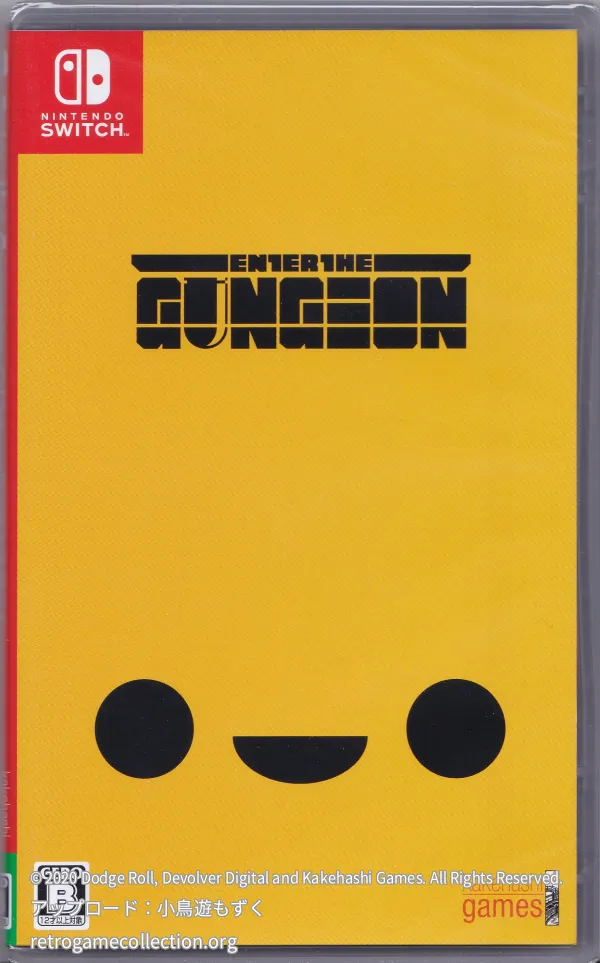 Enter the Gungeon