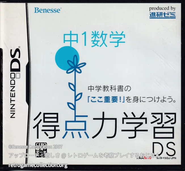 得点力学習DS 中1数学